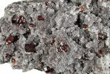 Gemmy Orange Sphalerite Crystals On Druzy Quartz - China #285039-1